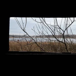 thumbnails/20211104_105119.tn.webp