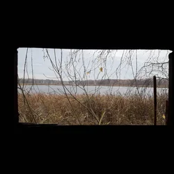 thumbnails/20211104_105130.tn.webp